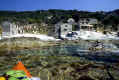 Cor003.jpg (57559 byte)