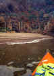Cor011.jpg (59228 byte)