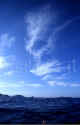 Cor015.jpg (38047 byte)